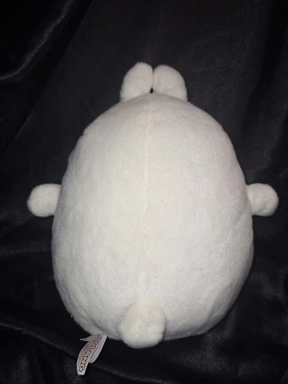 Aurora Chubby Bunny Plush~Molang~Med Rabbit~10 Inch~Hye-Ji Yoon~Millimages~2021